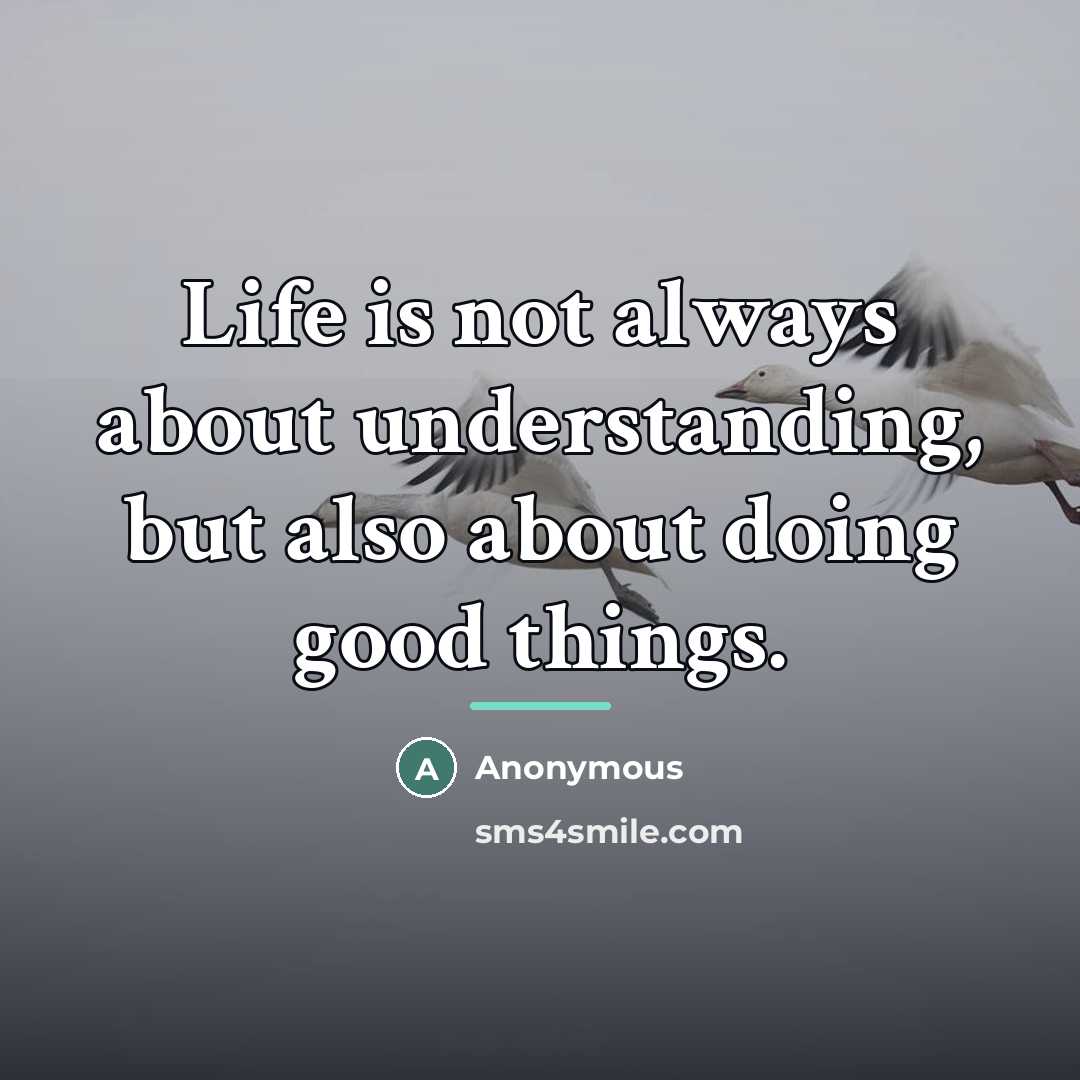“Life is not always about understanding, but also about doing…” quote by Anonymous