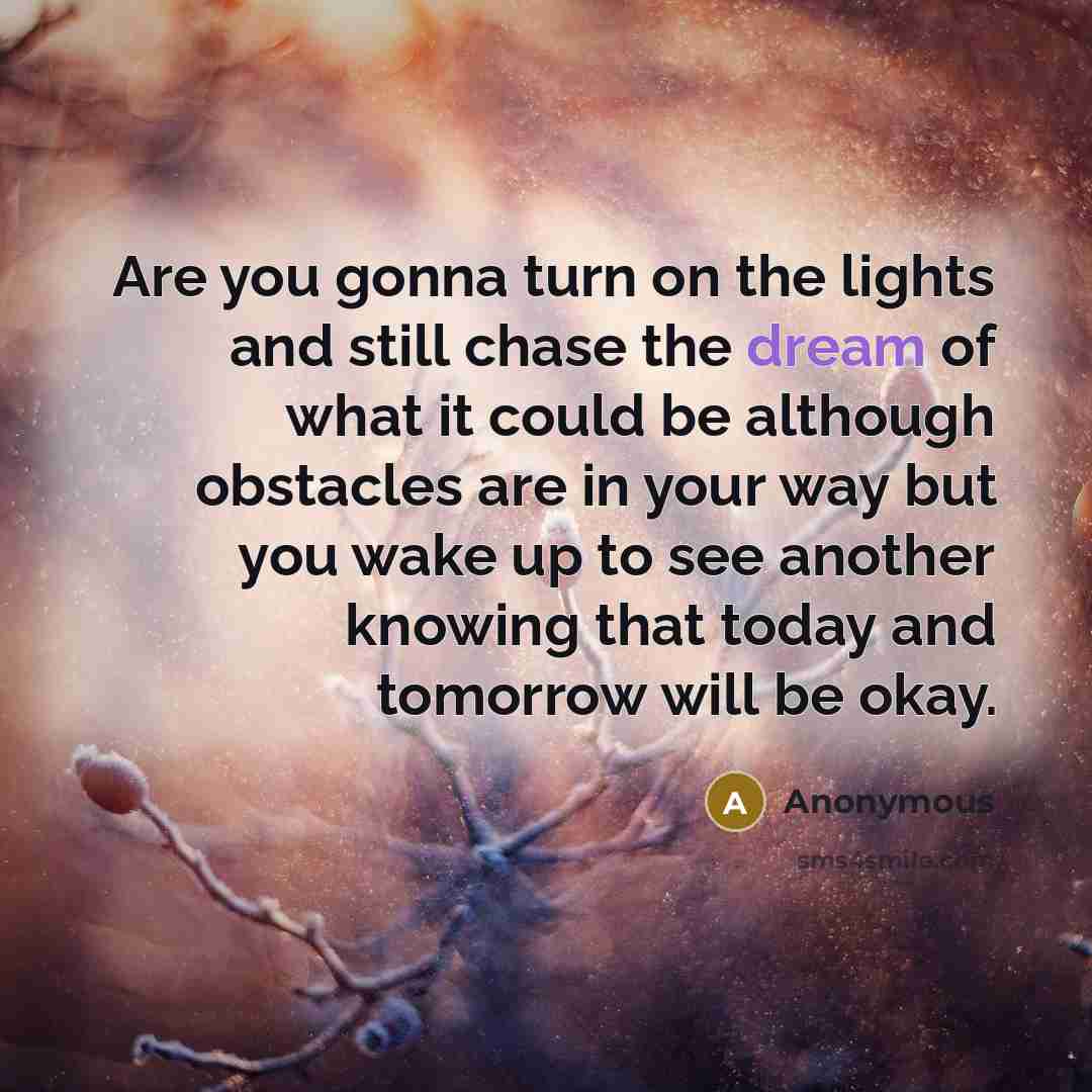 “Are you gonna turn on the lights and still chase…” quote by Anonymous