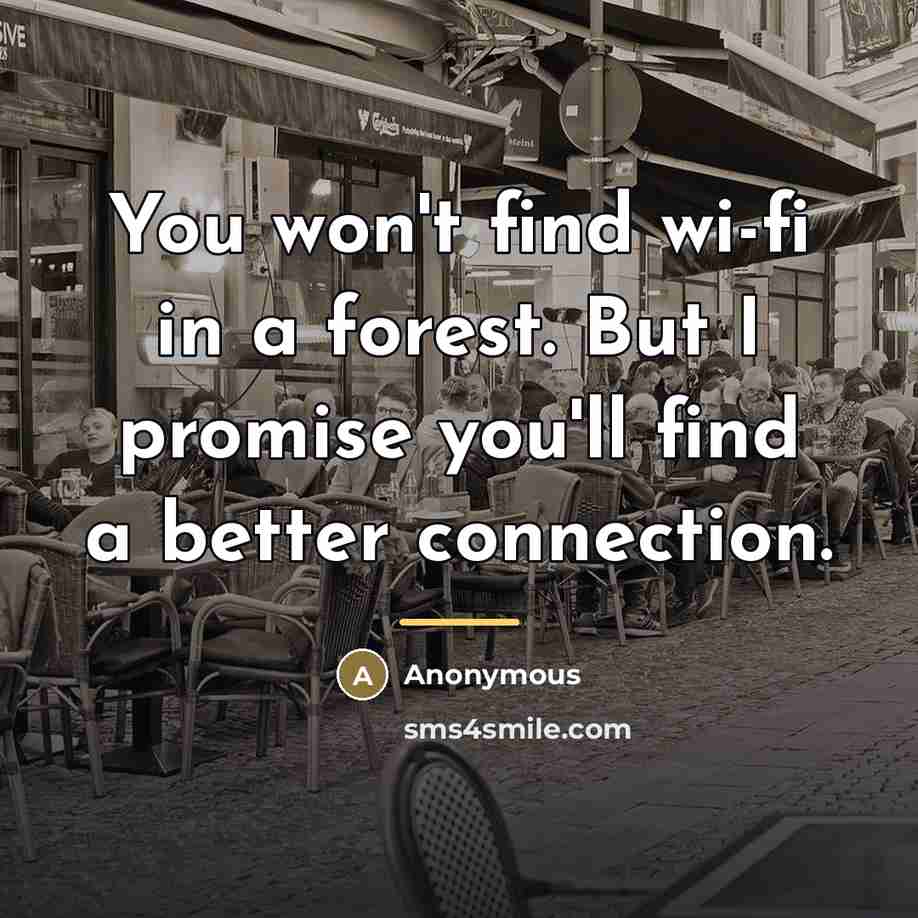 “You won't find wi-fi in a forest. But I promise…” quote by Anonymous