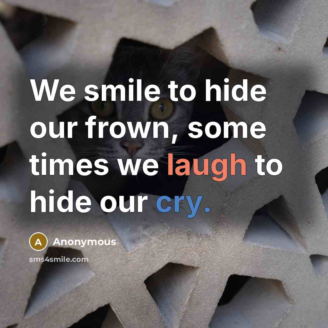 “We smile to hide our frown, some times we laugh to hide our cry.” quote by Anonymous