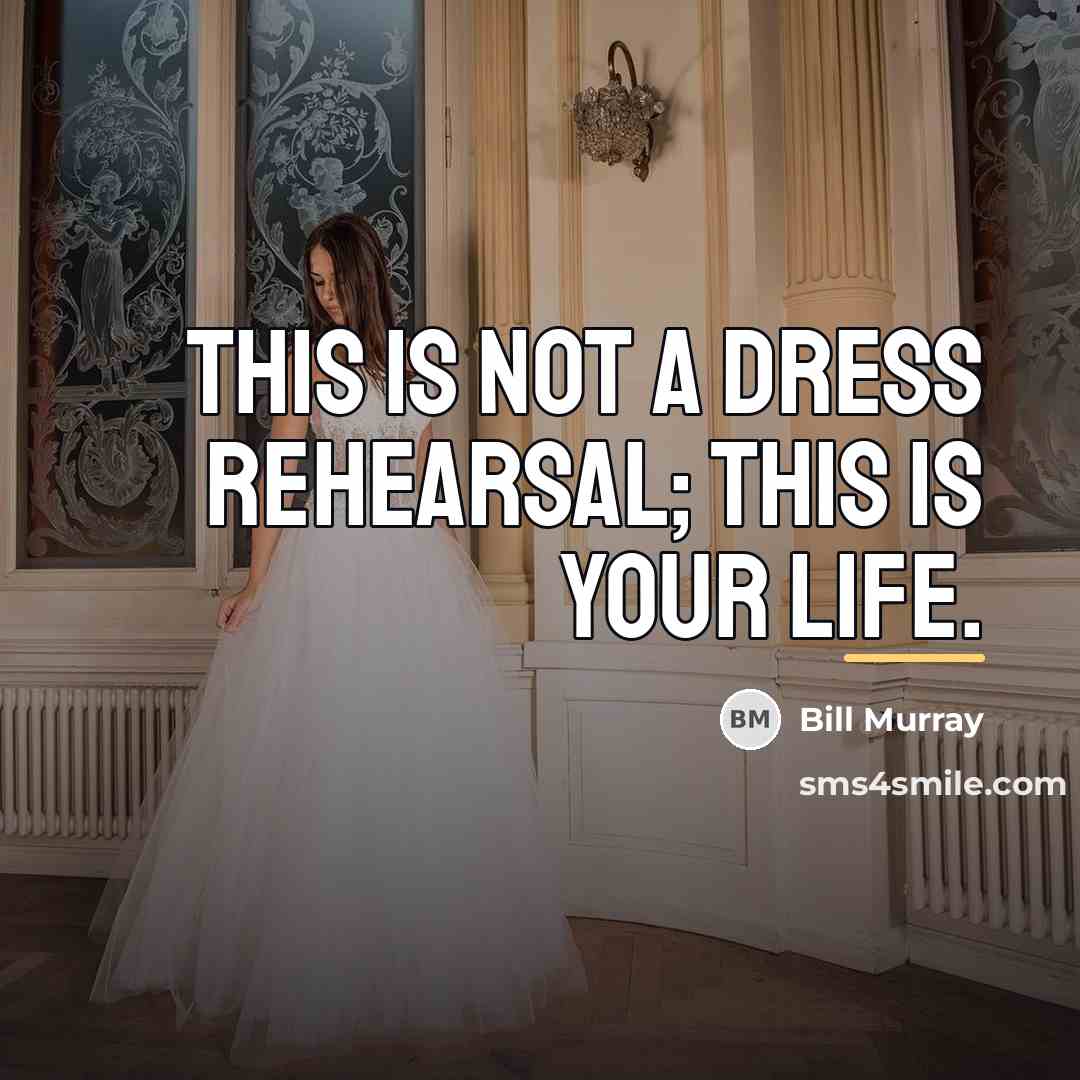 “This is not a dress rehearsal; this is your life.…” quote by Bill Murray