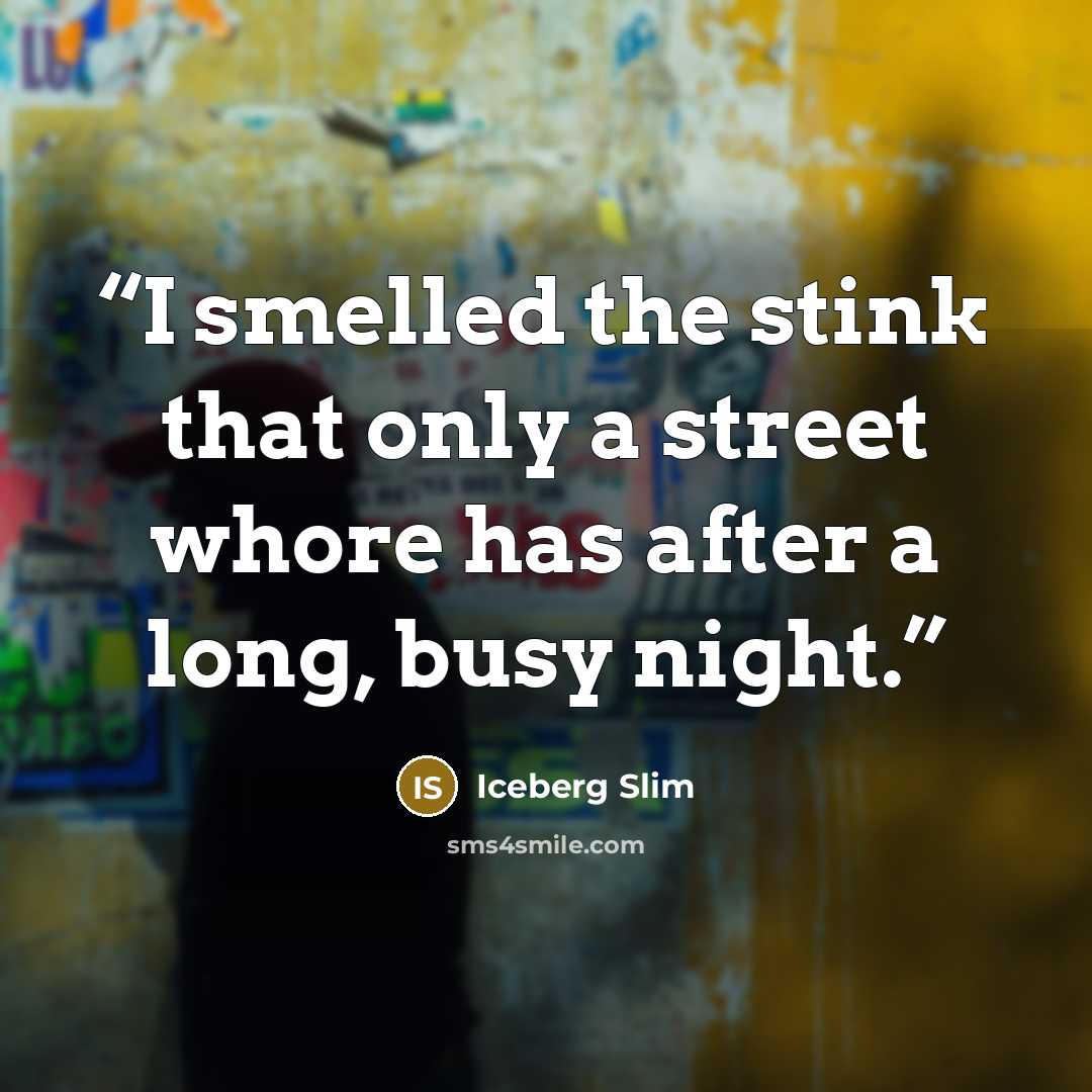 “I smelled the stink that only a street whore has after a long, busy night.” quote by Iceberg Slim