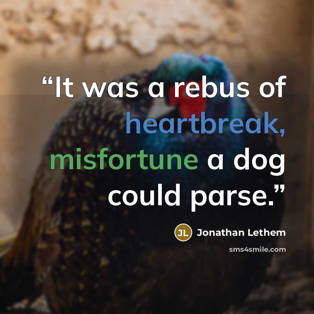 “It was a rebus of heartbreak, misfortune a dog could parse.” quote by Jonathan Lethem