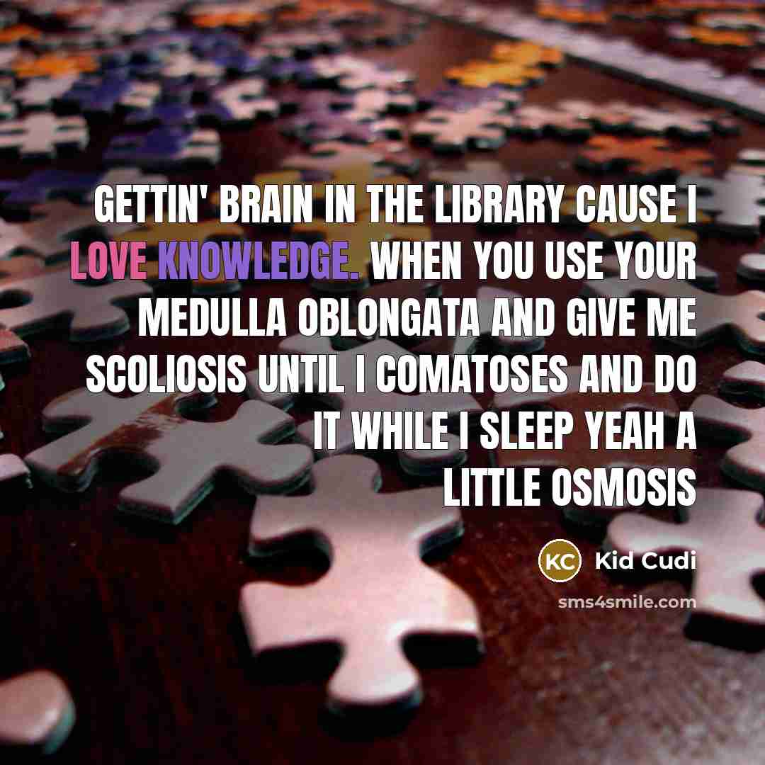 “Gettin' brain in the library cause I love knowledge. When you use your Medulla Oblongata And give me scoliosis until I comatoses And do it while I sleep yeah a little osmosis” quote by Kid Cudi