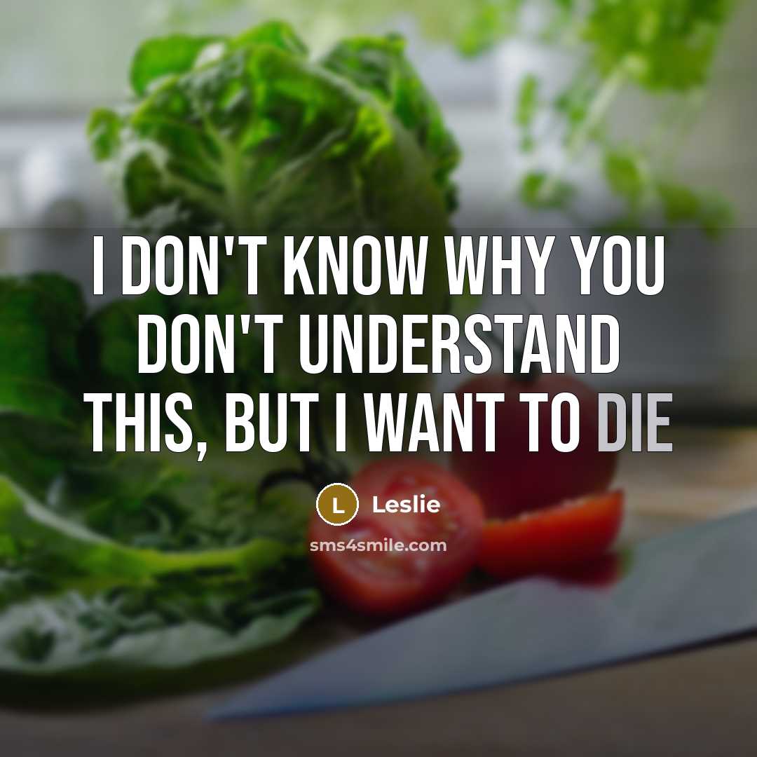 “I don't know why you don't understand this, but I…” quote by Leslie