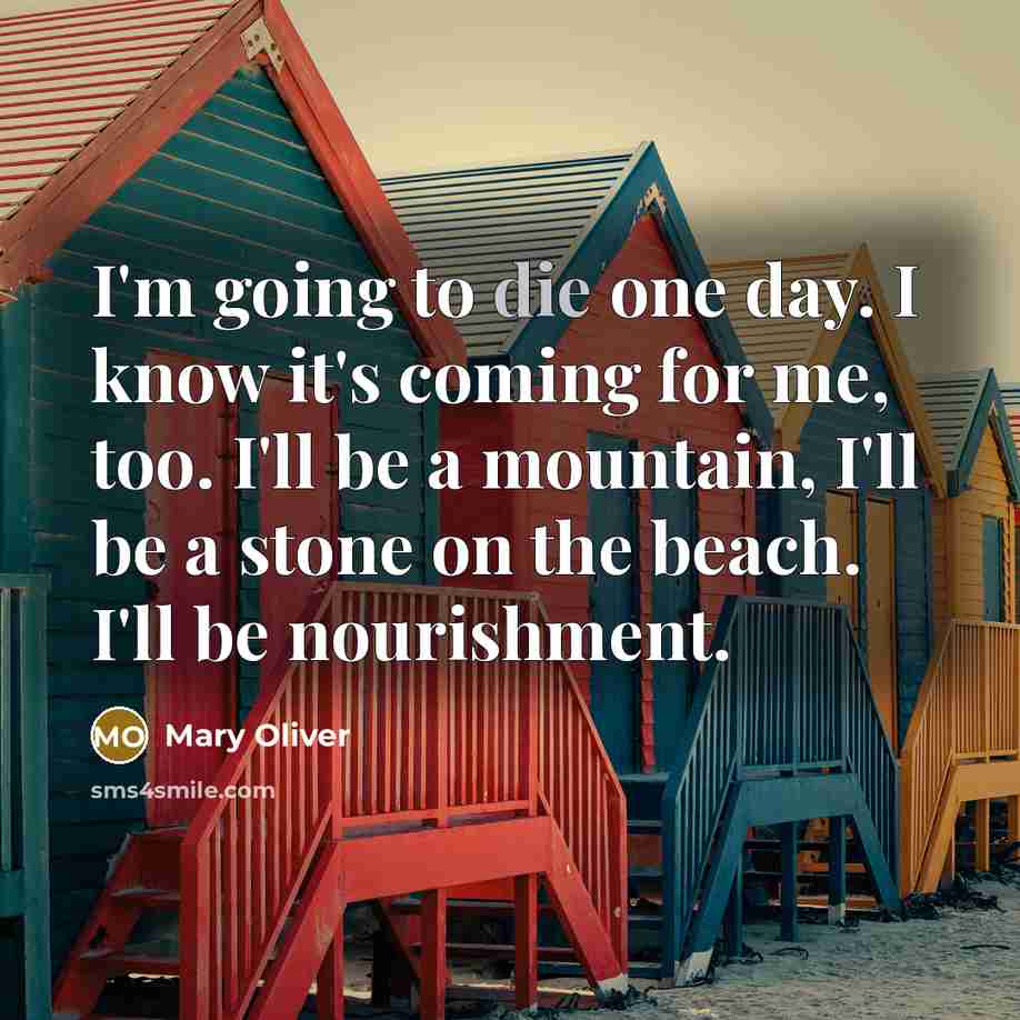 “I'm going to die one day. I know it's coming…” quote by Mary Oliver