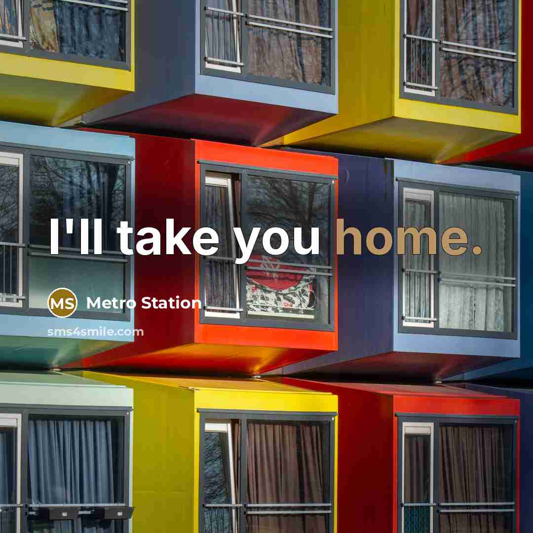 “I'll take you home.…” quote by Metro Station