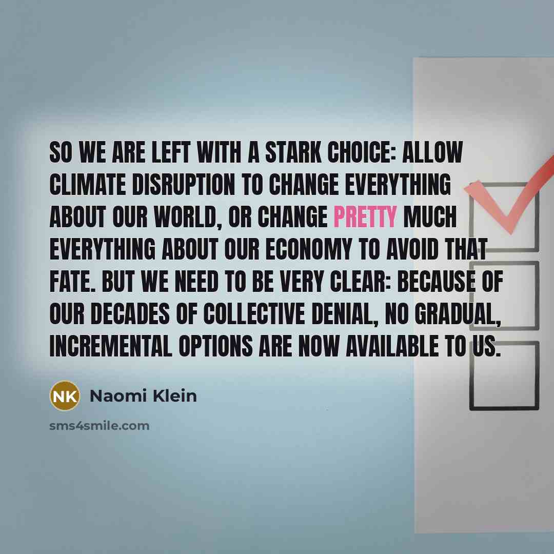 “So we are left with a stark choice: allow climate…” quote by Naomi Klein