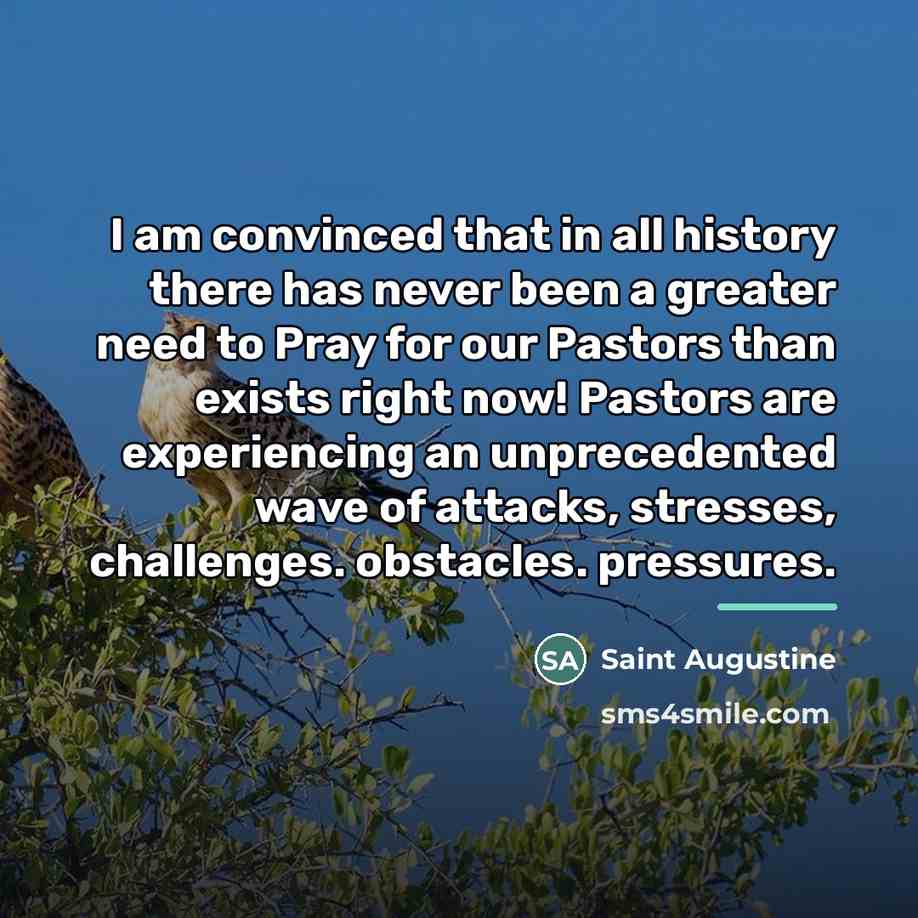“I am convinced that in all history there has never…” quote by Saint Augustine