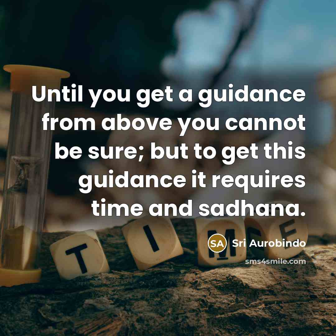 “Until you get a guidance from above you cannot be…” quote by Sri Aurobindo