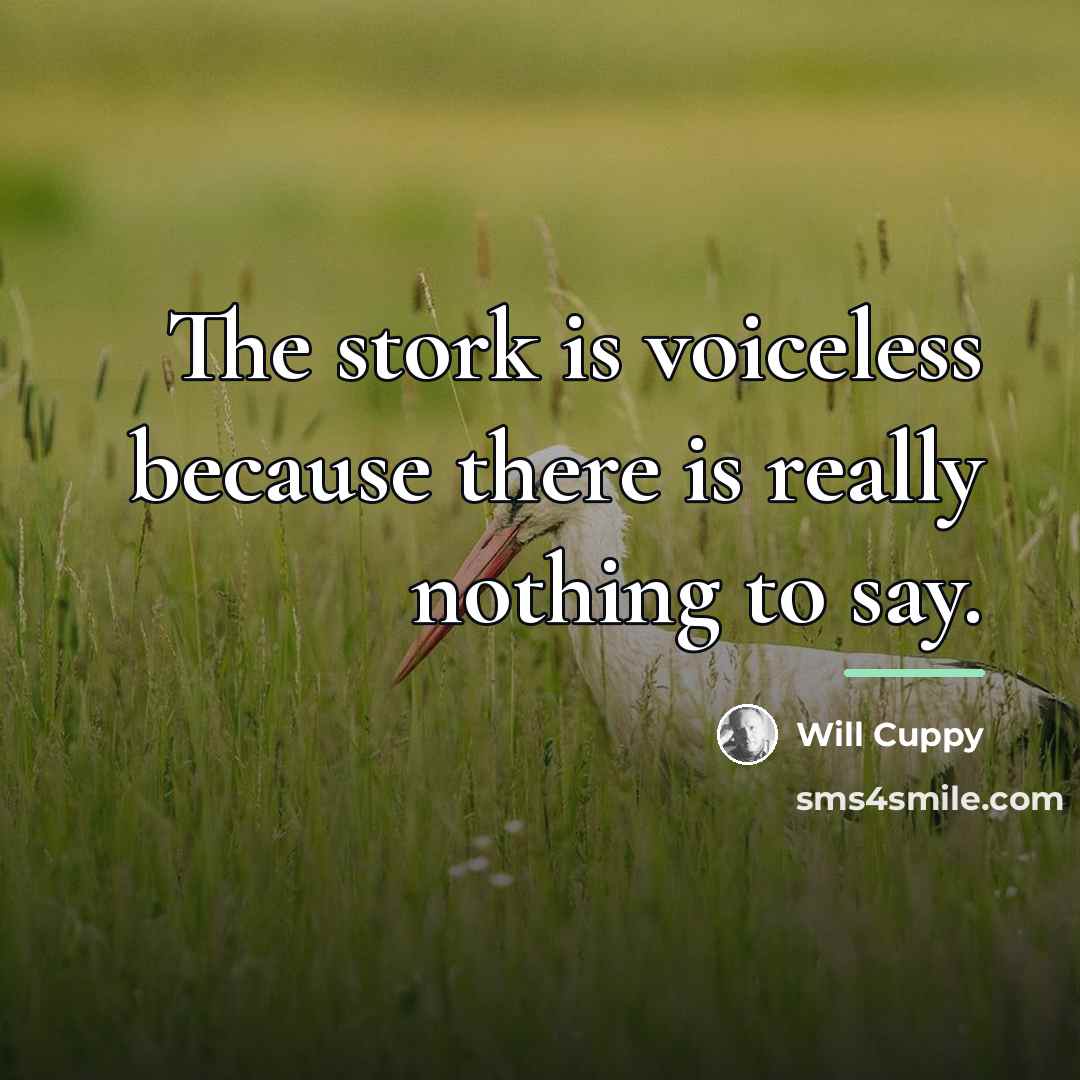 “The stork is voiceless because there is really nothing to…” quote by Will Cuppy