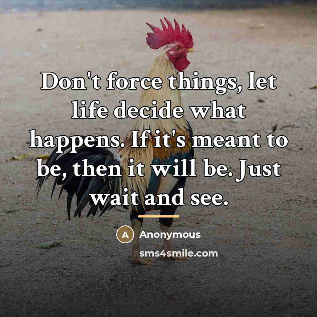 “Don't force things, let life decide what happens. If it's…” quote by Anonymous