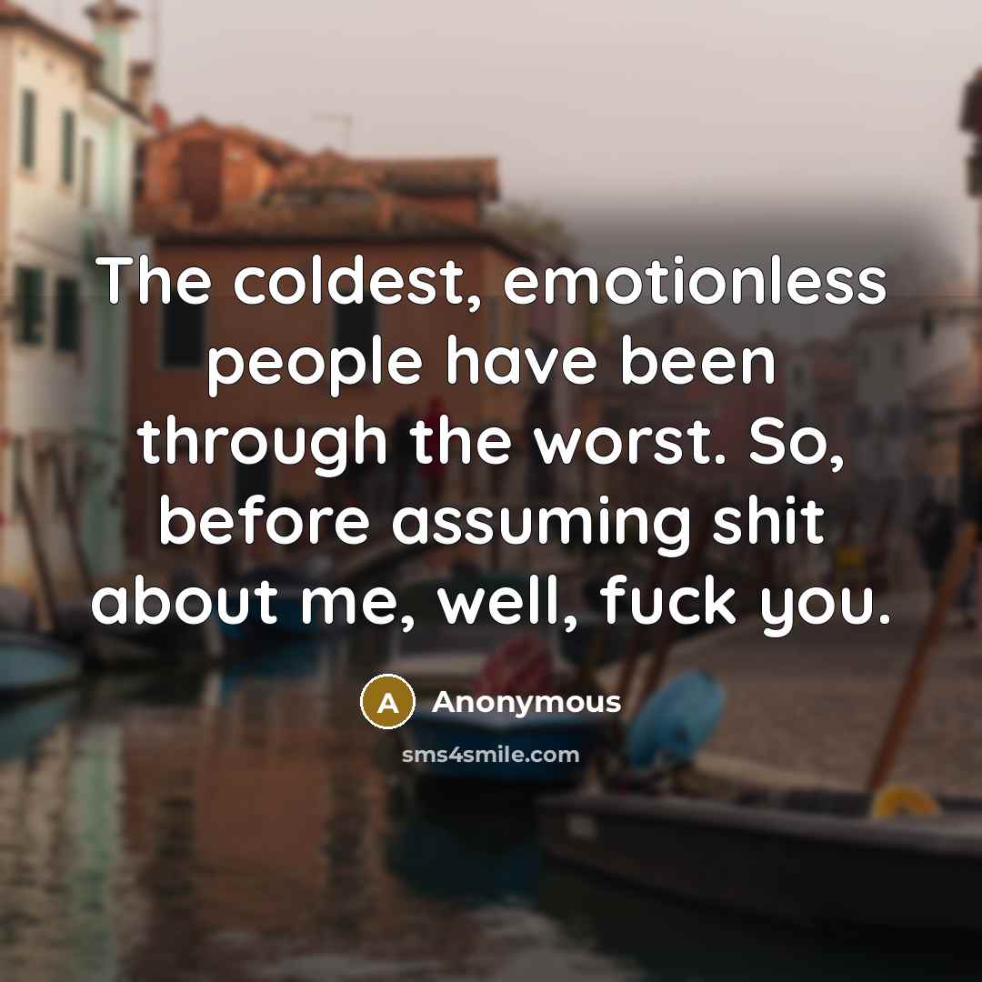 “The coldest, emotionless people have been through the worst. So, before assuming shit about me, well, fuck you.” quote by Anonymous