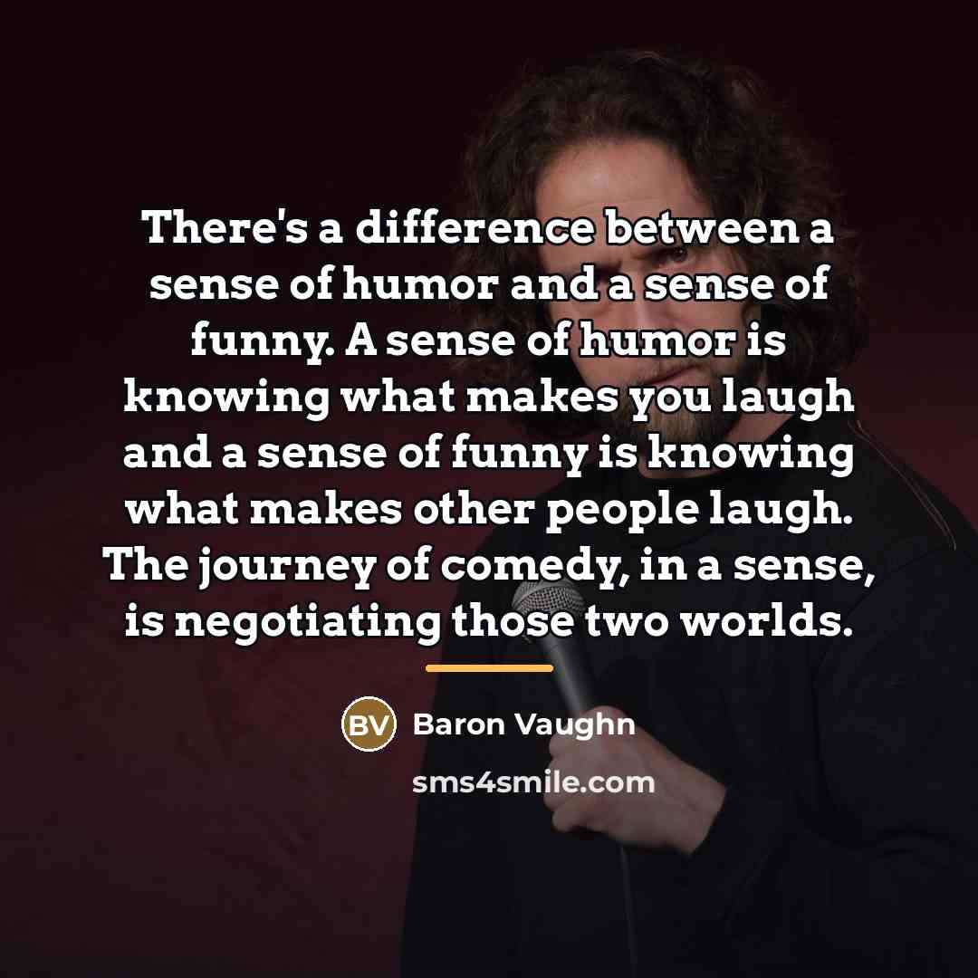 “There's a difference between a sense of humor and a…” quote by Baron Vaughn