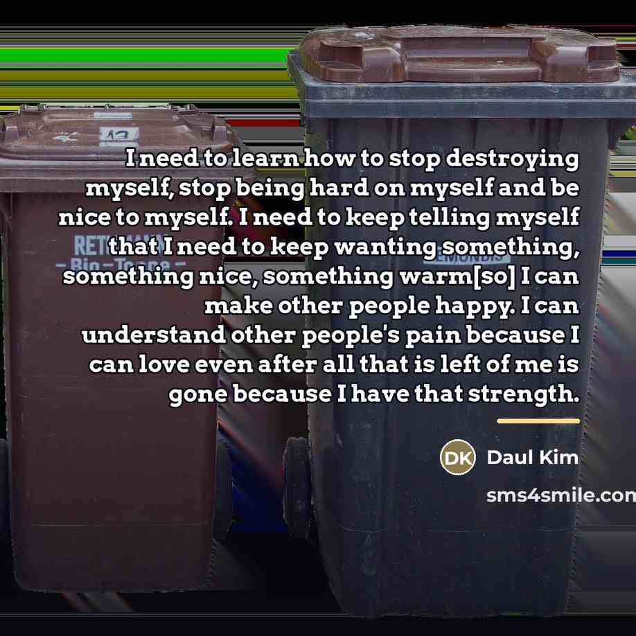 “I need to learn how to stop destroying myself, stop…” quote by Daul Kim