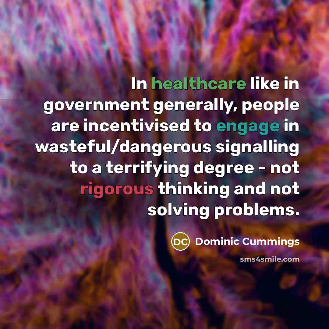 “In healthcare like in government generally, people are incentivised to…” quote by Dominic Cummings