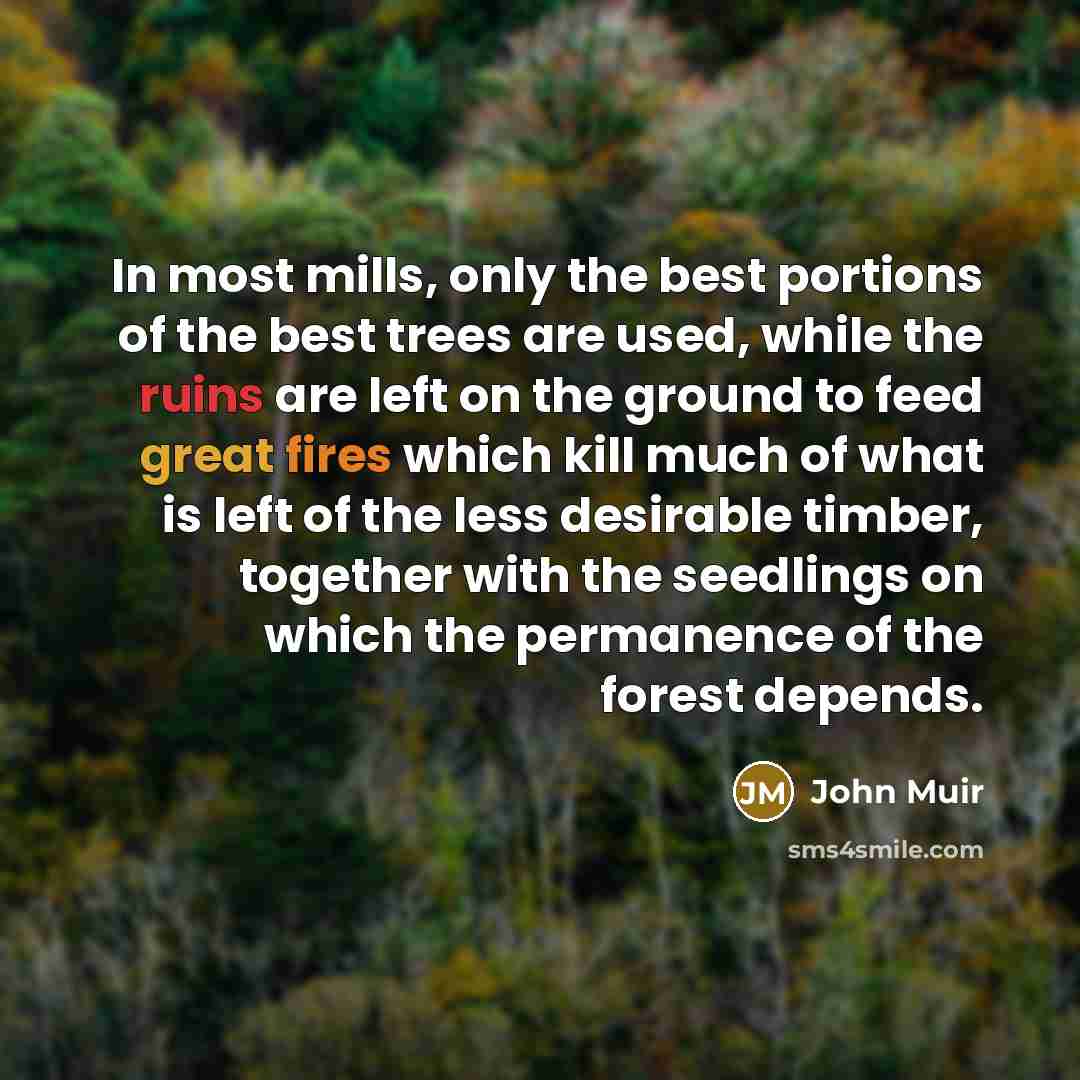“In most mills, only the best portions of the best…” quote by John Muir