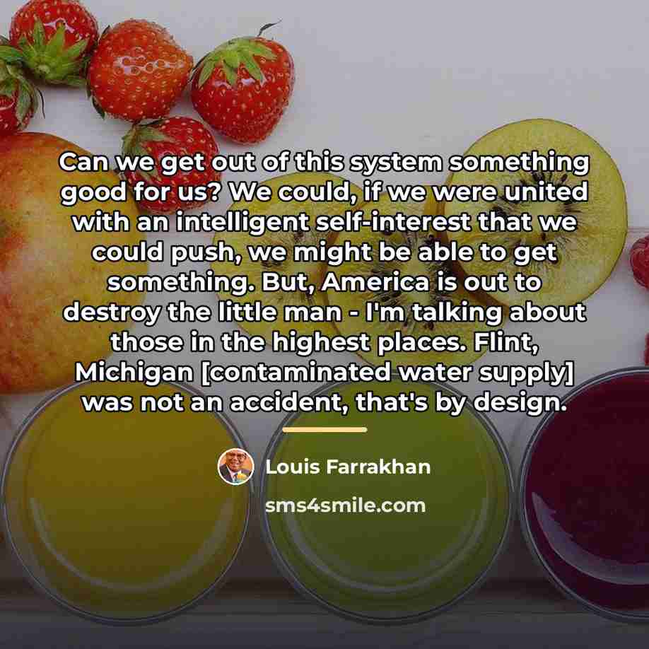 “Can we get out of this system something good for…” quote by Louis Farrakhan