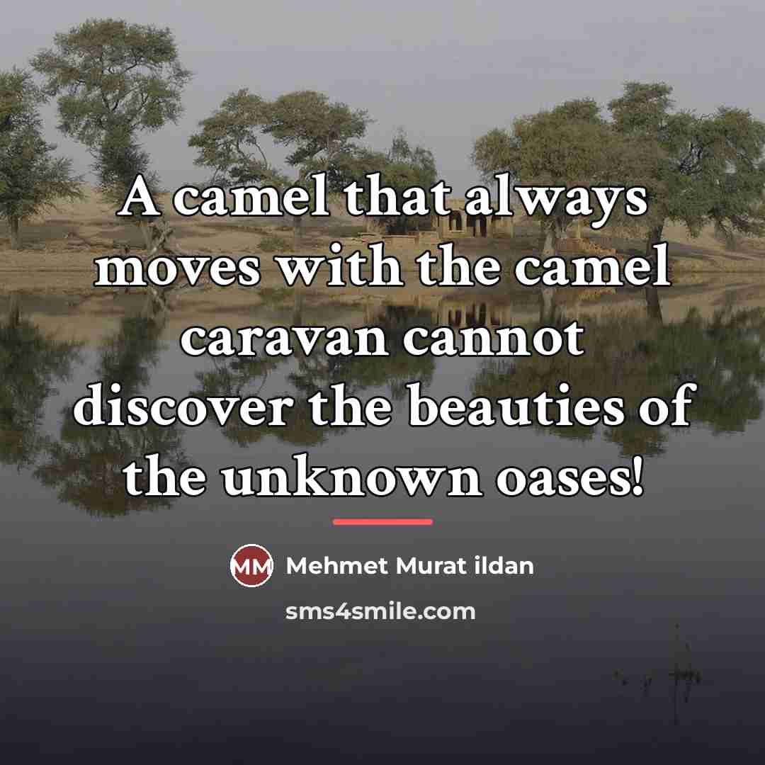 “A camel that always moves with the camel caravan cannot…” quote by Mehmet Murat Ildan