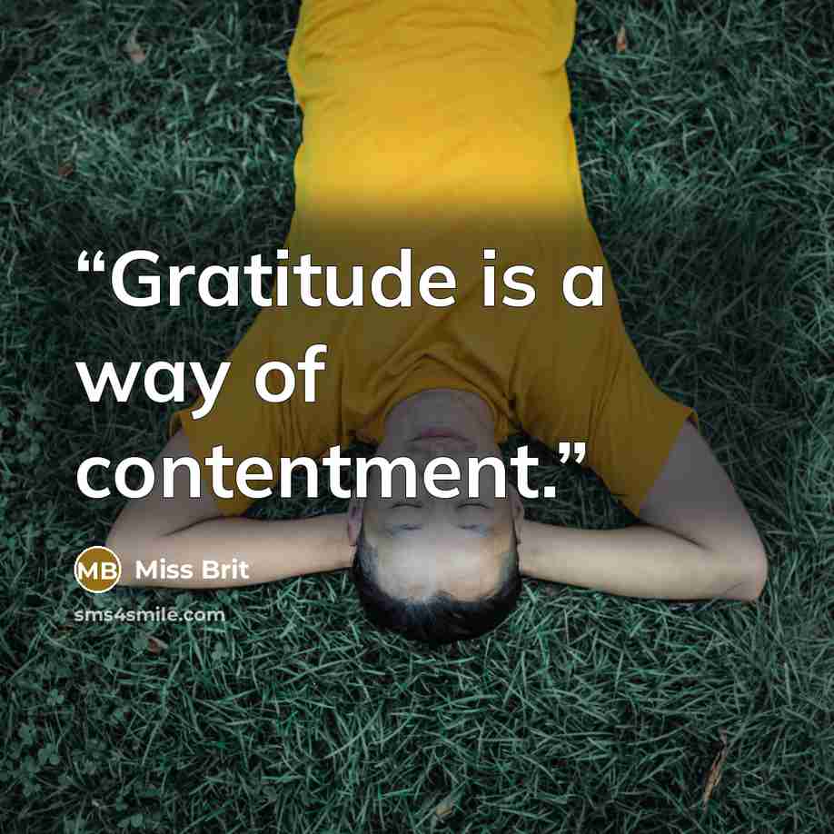 “Gratitude is a way of contentment.” quote by Miss Brit