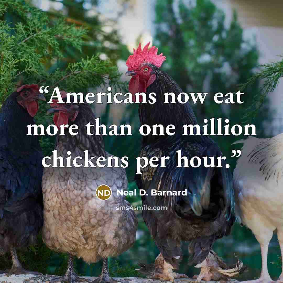“Americans now eat more than one million chickens per hour.” quote by Neal D. Barnard