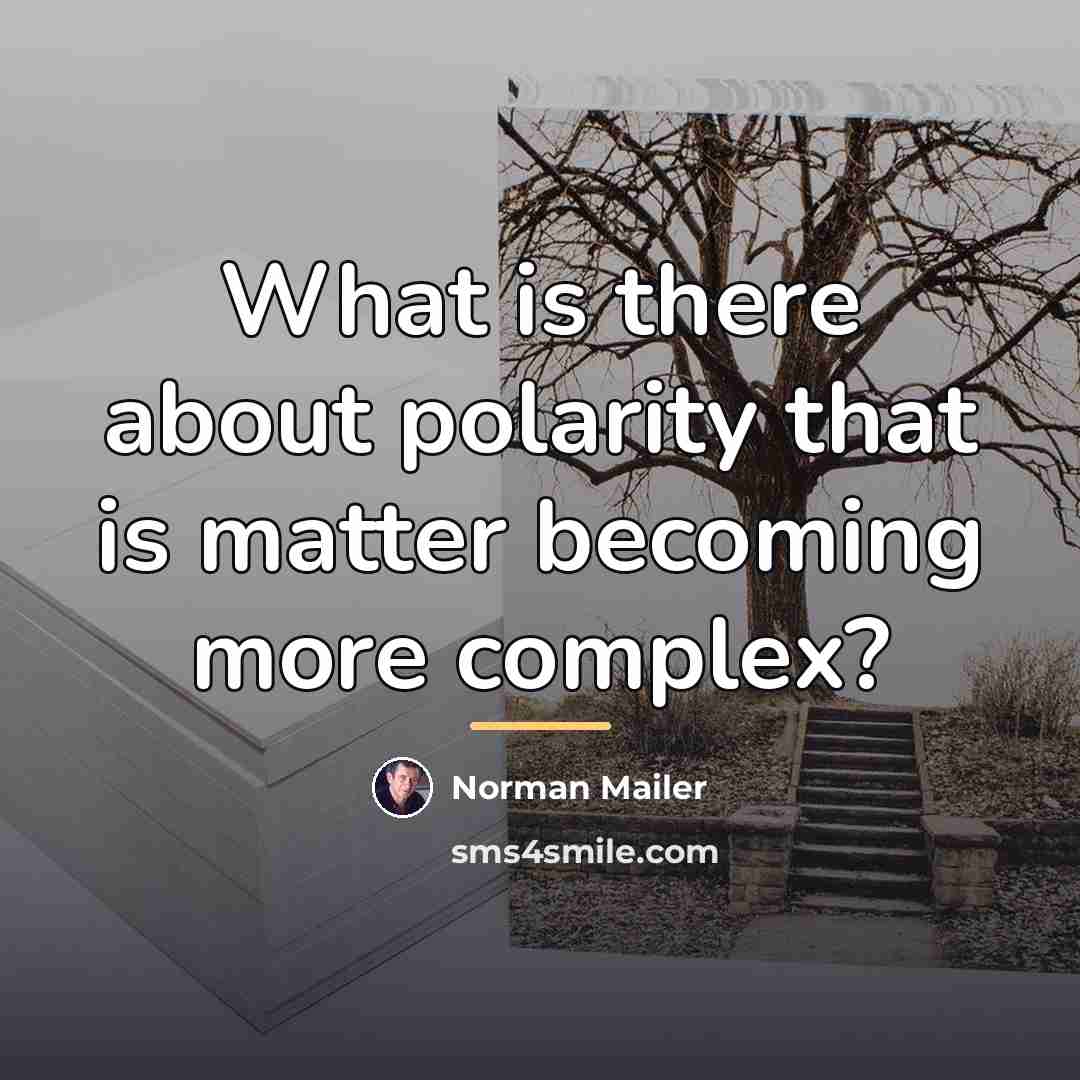 “What is there about polarity that is matter becoming more…” quote by Norman Mailer