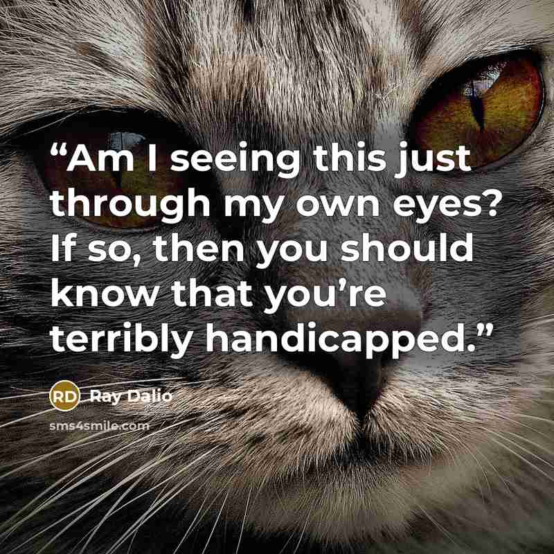“Am I seeing this just through my own eyes? If so, then you should know that you’re terribly handicapped.” quote by Ray Dalio