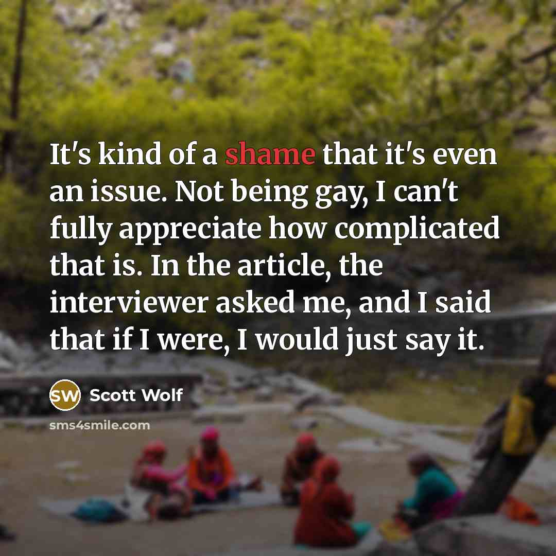“It's kind of a shame that it's even an issue.…” quote by Scott Wolf