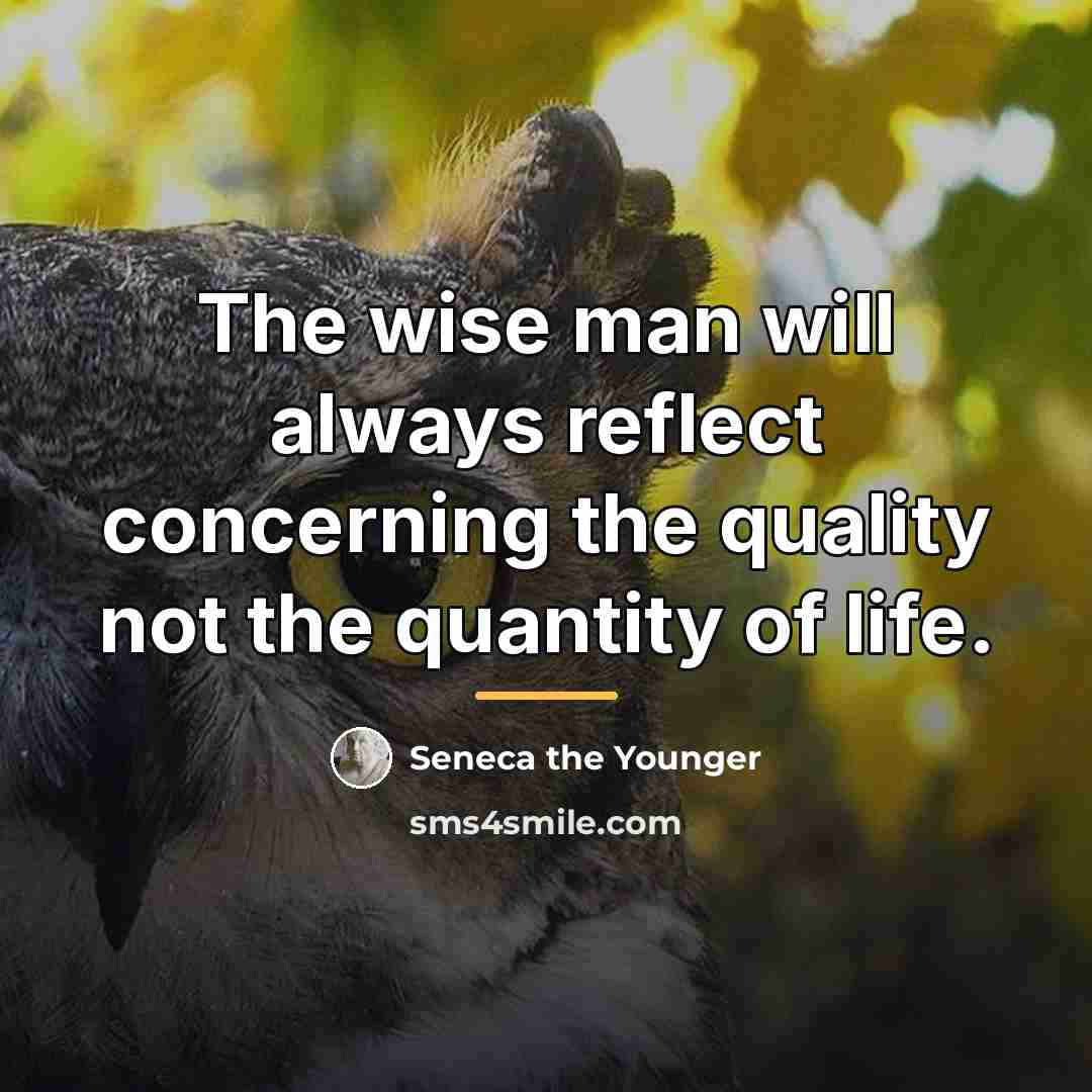 “The wise man will always reflect concerning the quality not…” quote by Seneca the Younger