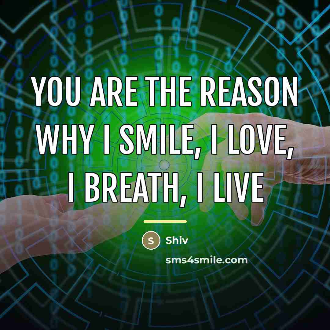 “You are the reason why I smile, I love, I…” quote by Shiv