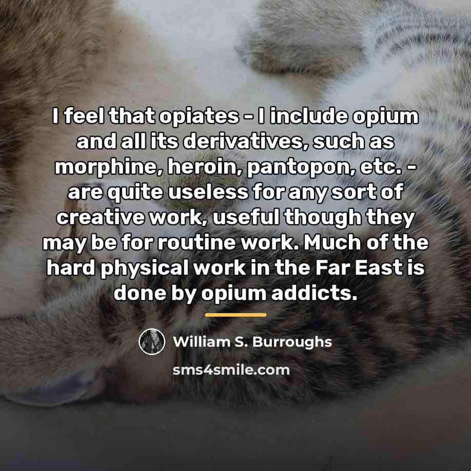 “I feel that opiates - I include opium and all…” quote by William S. Burroughs