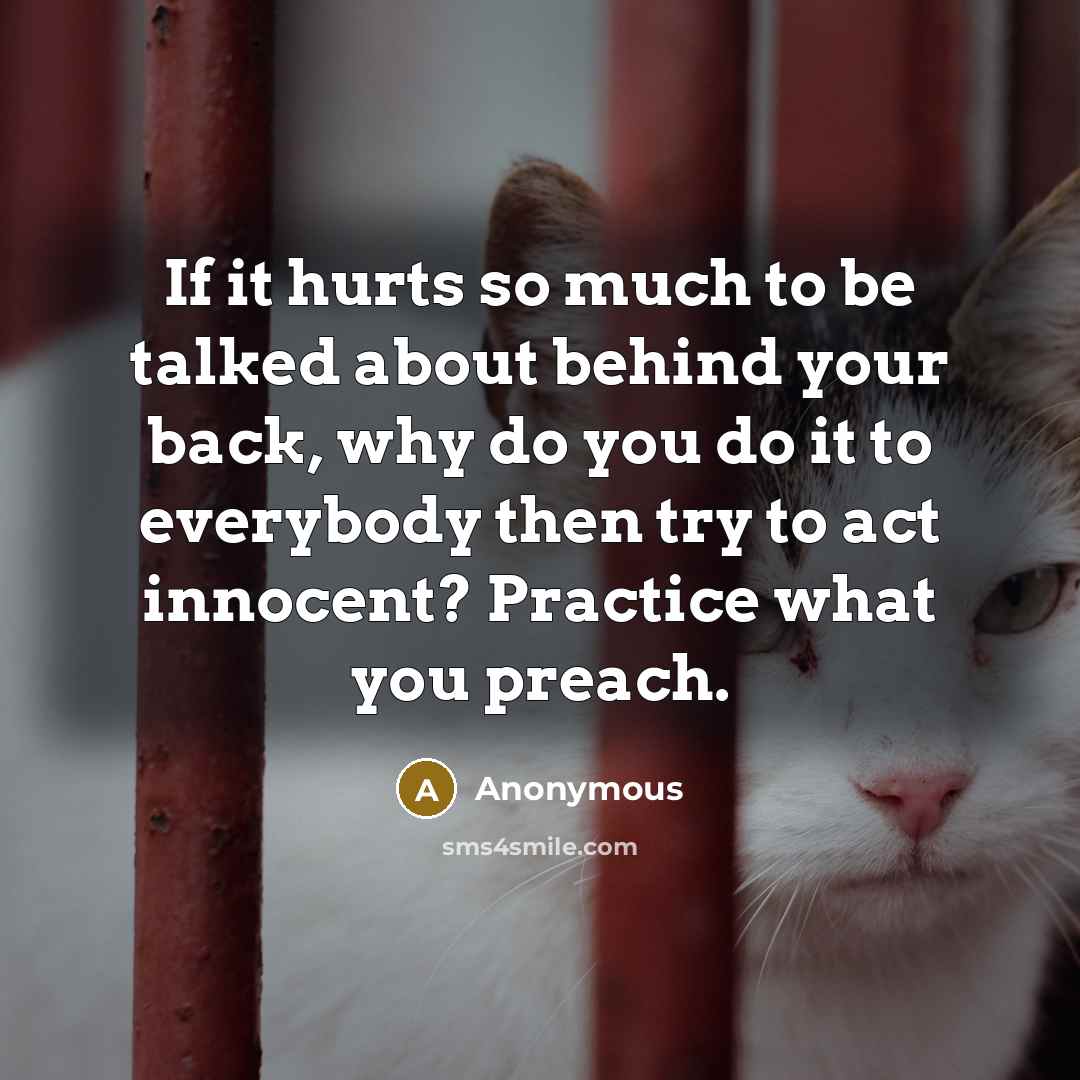 “If it hurts so much to be talked about behind…” quote by Anonymous
