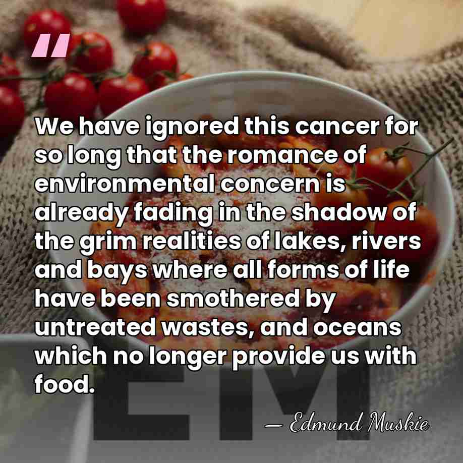 We have ignored this cancer for so long that the romance of&hellip; - Edmund Muskie