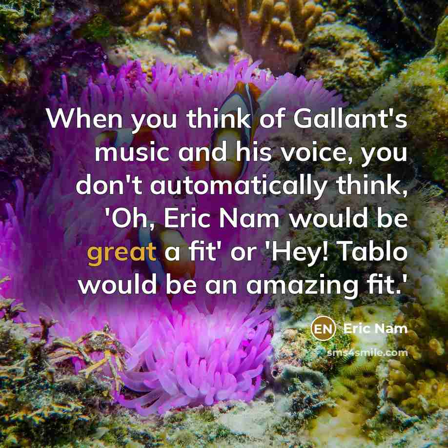 “When you think of Gallant's music and his voice, you…” quote by Eric Nam