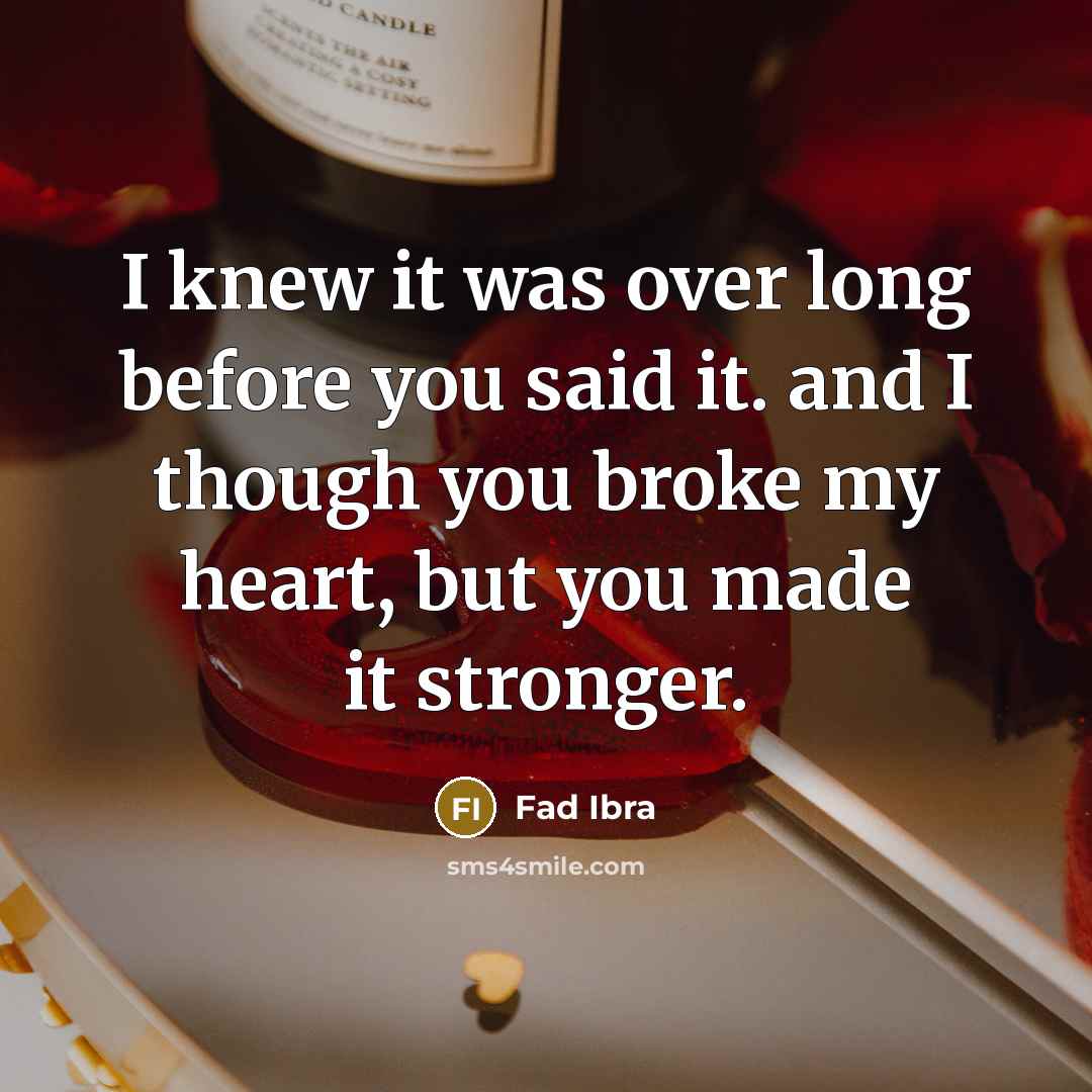 “I knew it was over long before you said it.…” quote by Fad Ibra