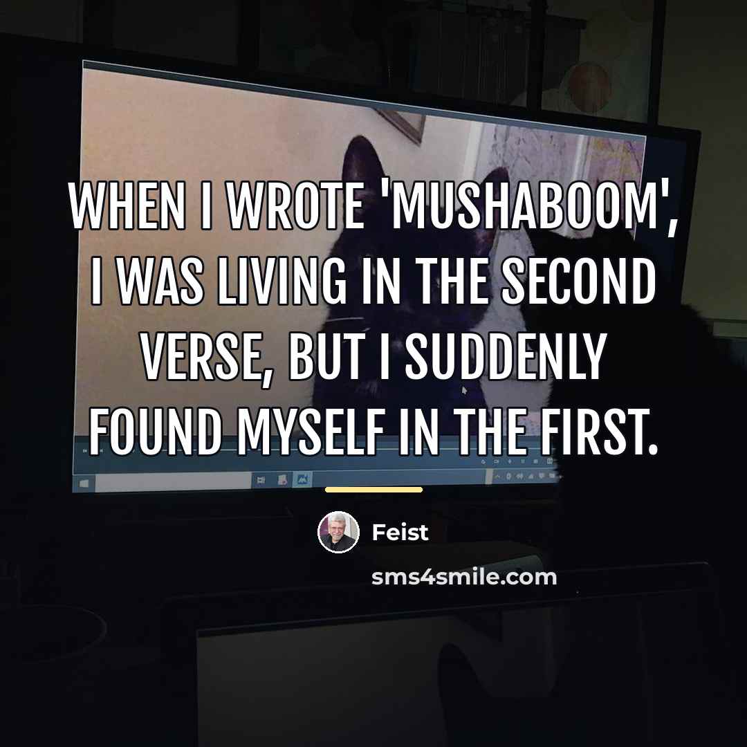 “When I wrote 'Mushaboom', I was living in the second…” quote by Feist
