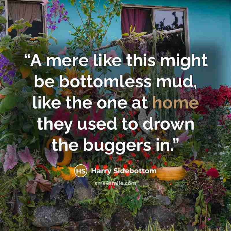 “A mere like this might be bottomless mud, like the one at home they used to drown the buggers in.” quote by Harry Sidebottom