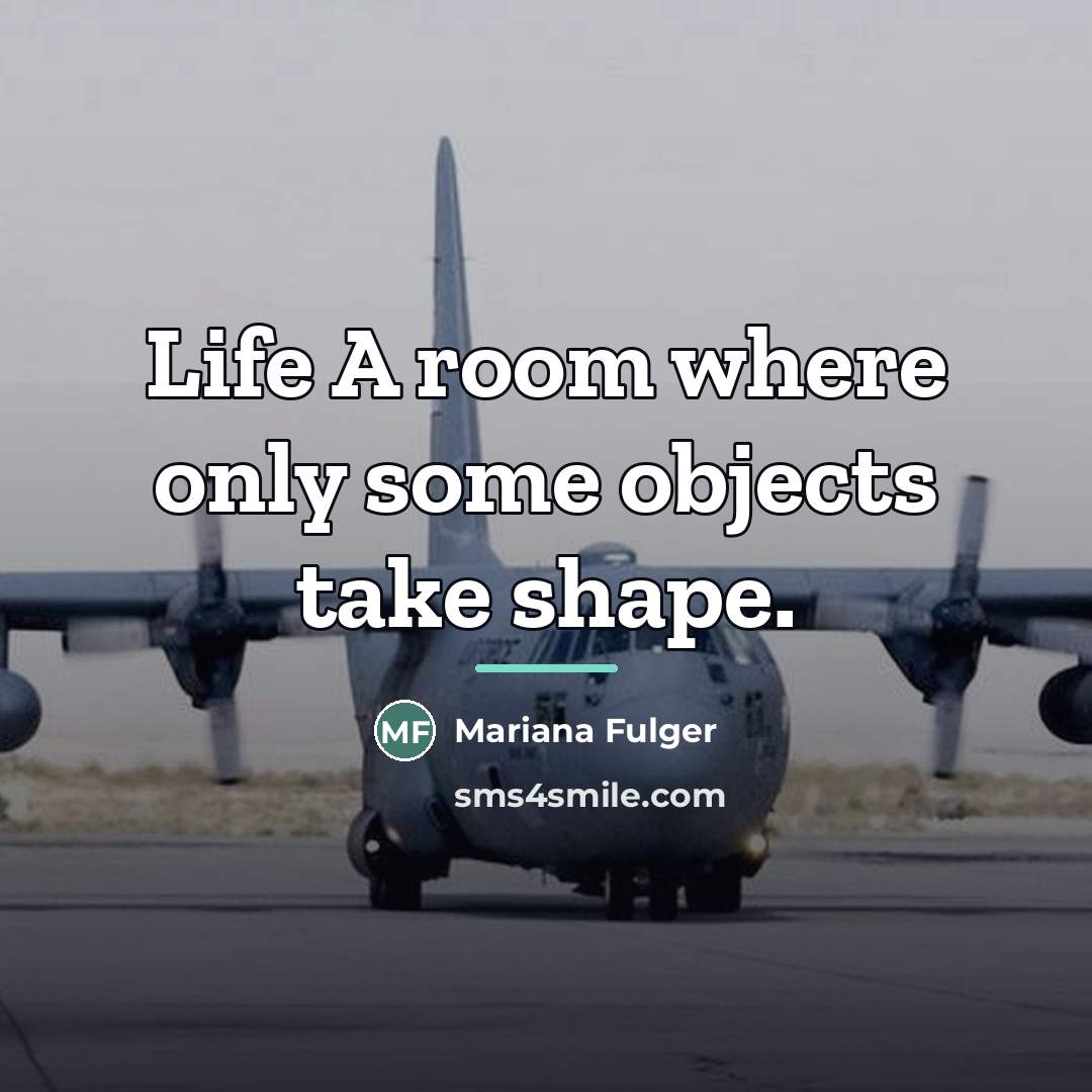 “Life A room where only some objects take shape.…” quote by Mariana Fulger