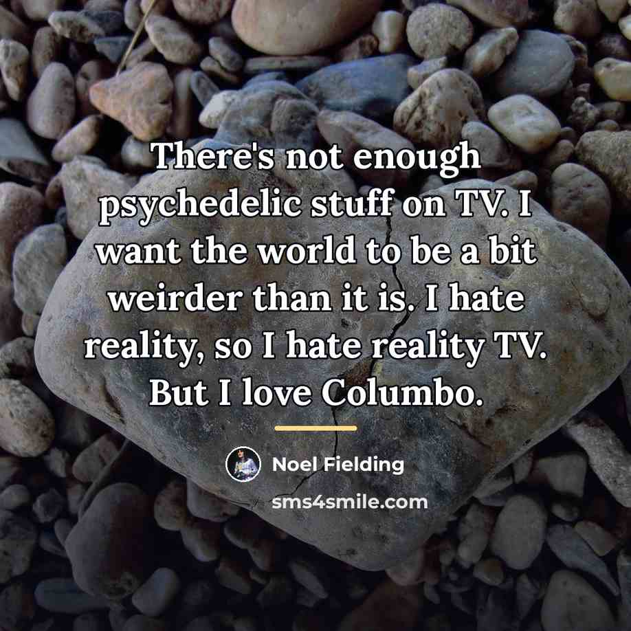 “There's not enough psychedelic stuff on TV. I want the…” quote by Noel Fielding