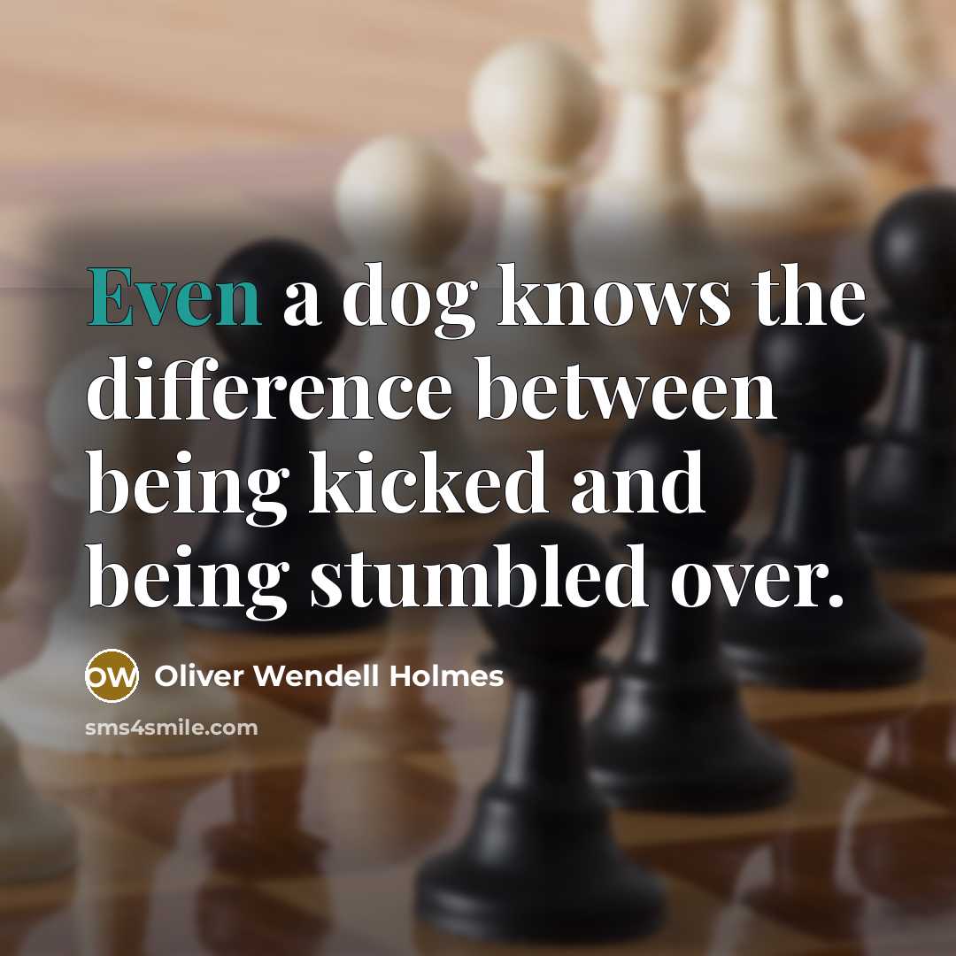 “Even a dog knows the difference between being kicked and being stumbled over.” quote by Oliver Wendell Holmes