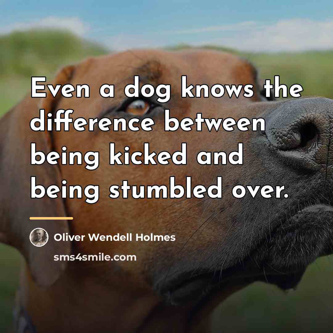 “Even a dog knows the difference between being kicked and…” quote by Oliver Wendell Holmes