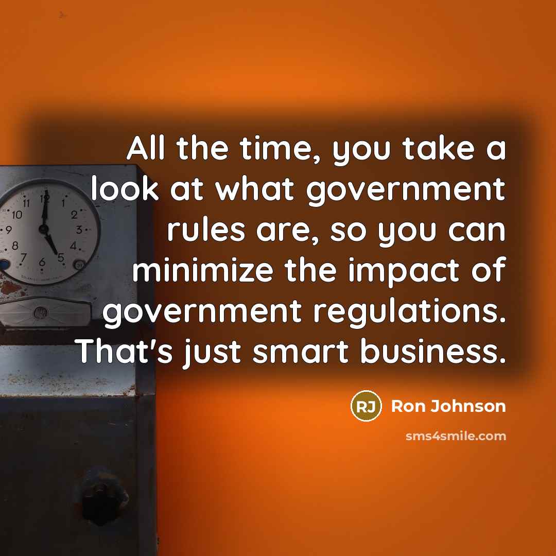“All the time, you take a look at what government…” quote by Ron Johnson