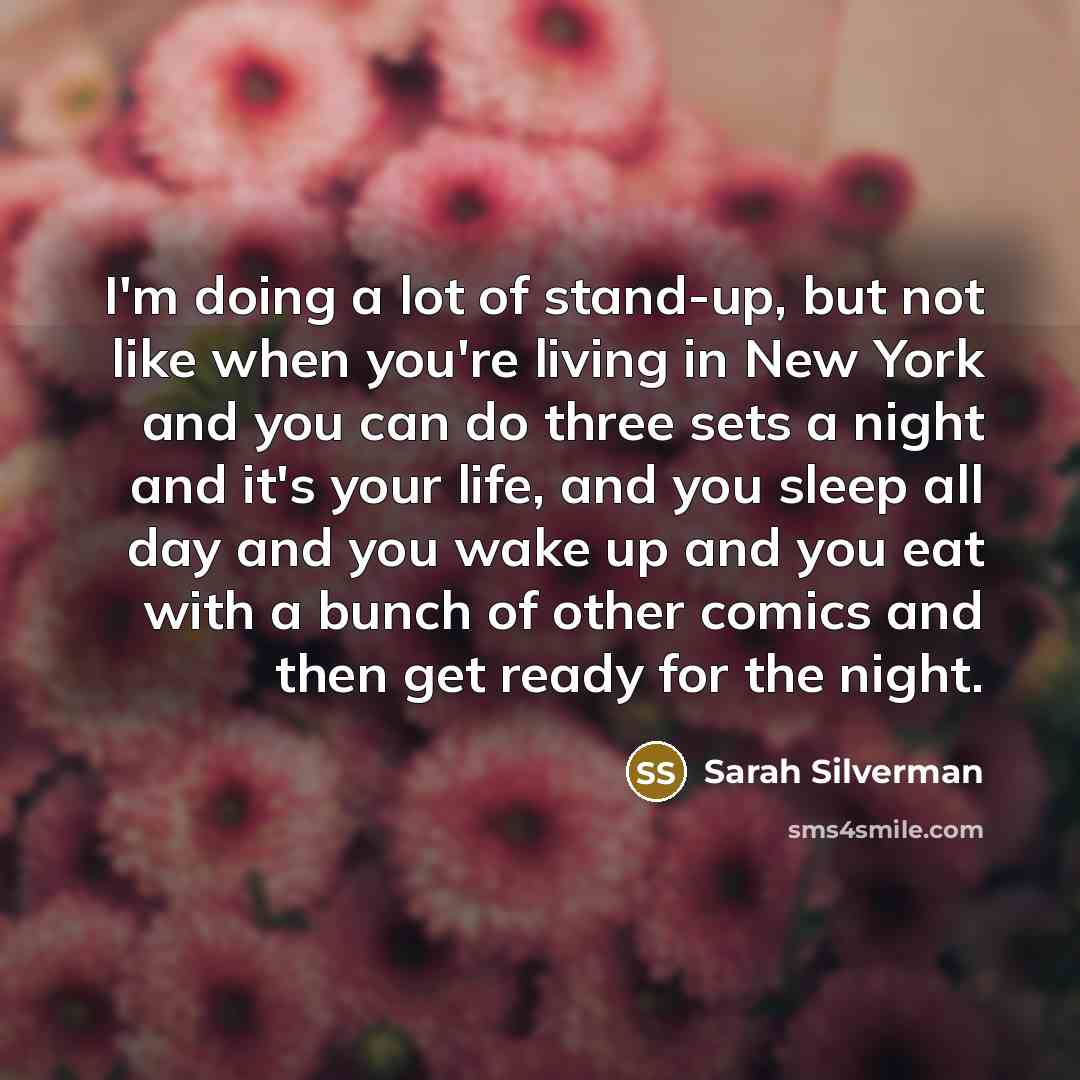 “I'm doing a lot of stand-up, but not like when…” quote by Sarah Silverman