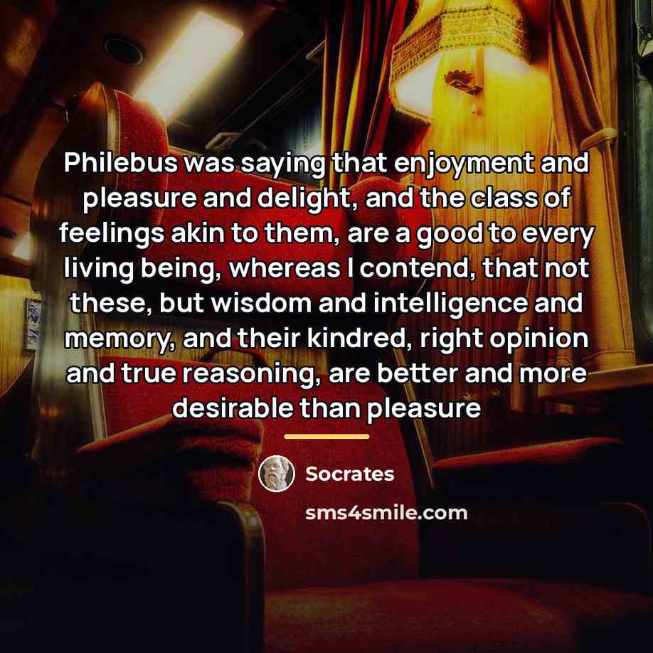 “Philebus was saying that enjoyment and pleasure and delight, and…” quote by Socrates