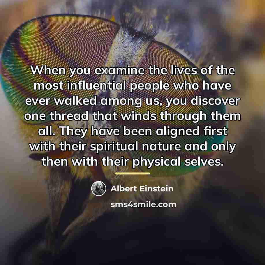 “When you examine the lives of the most influential people…” quote by Albert Einstein