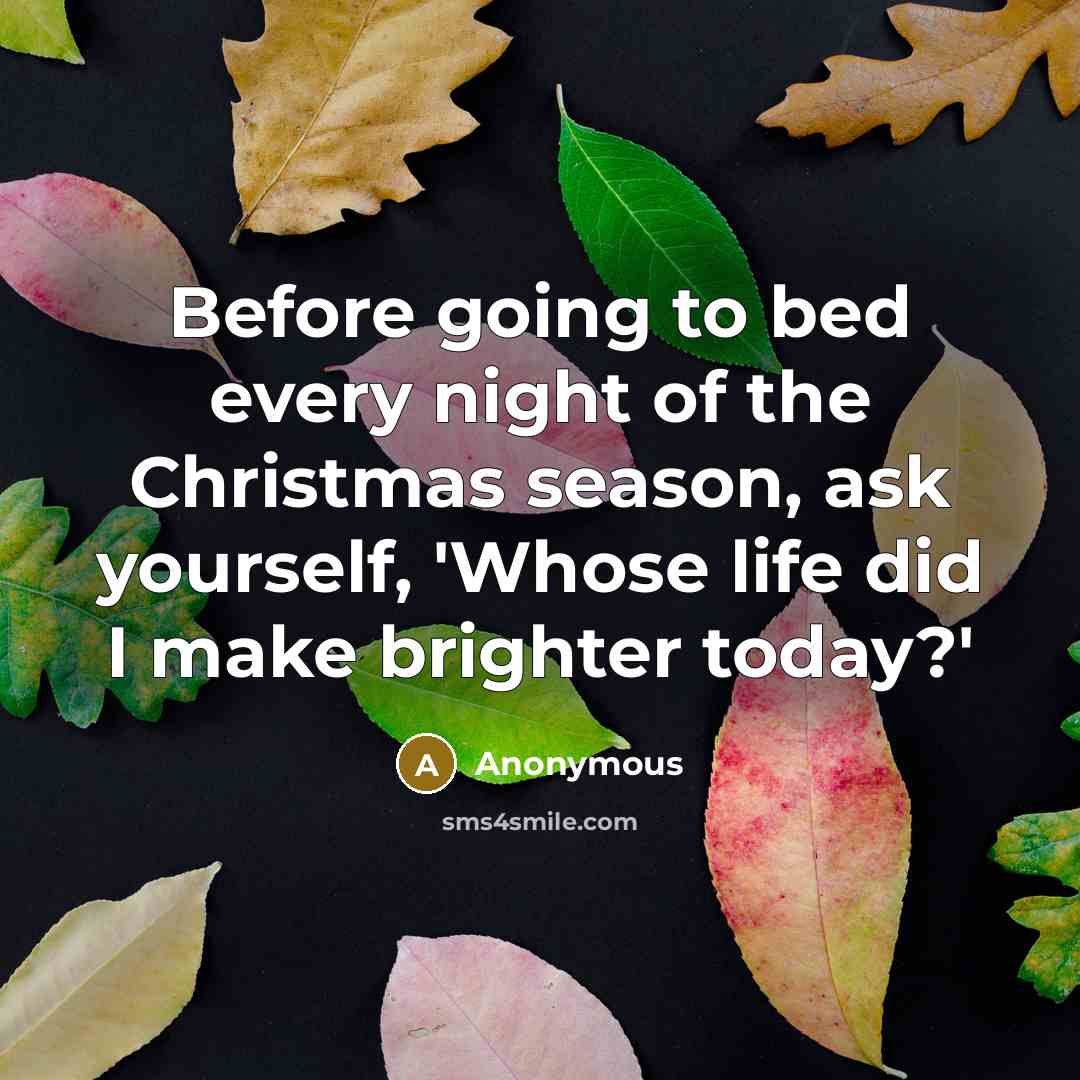 “Before going to bed every night of the Christmas season,…” quote by Anonymous