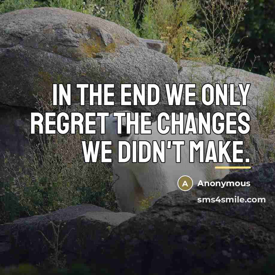 “In the end we only regret the changes we didn't…” quote by Anonymous
