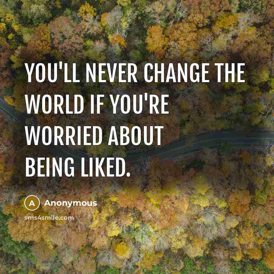 “You'll never change the world if you're worried about being…” quote by Anonymous