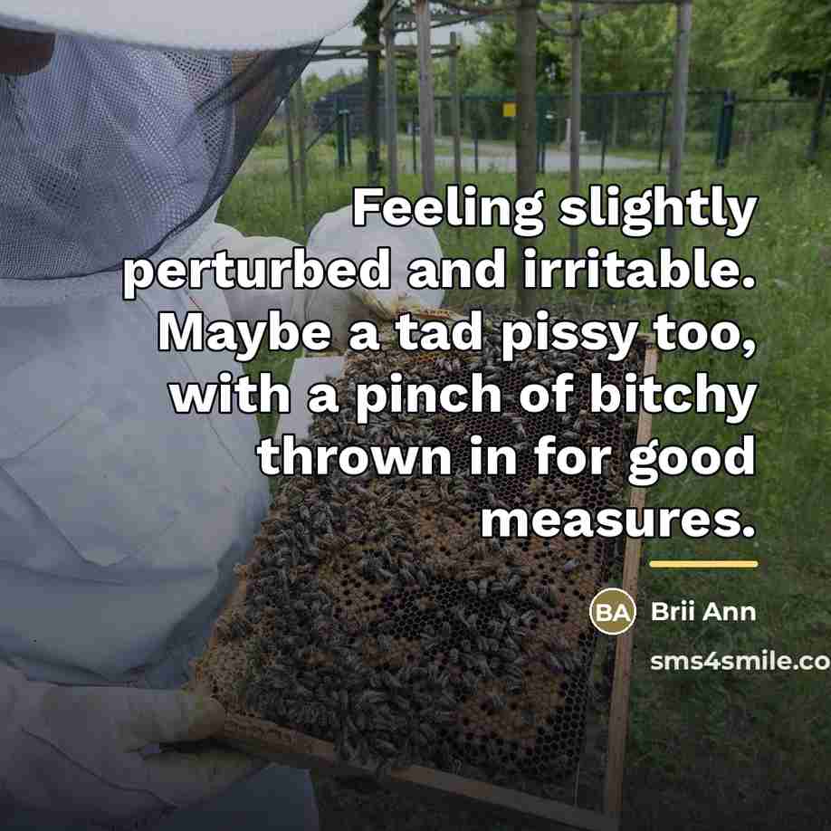 “Feeling slightly perturbed and irritable. Maybe a tad pissy too,…” quote by Brii Ann