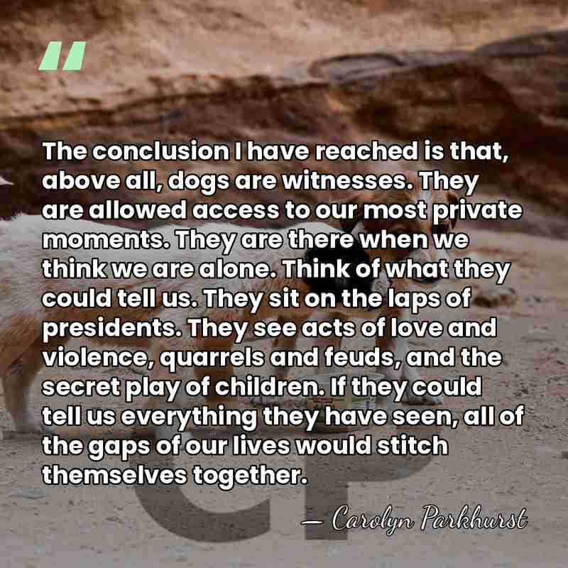The conclusion I have reached is that, above all, dogs are witnesses.&hellip; - Carolyn Parkhurst